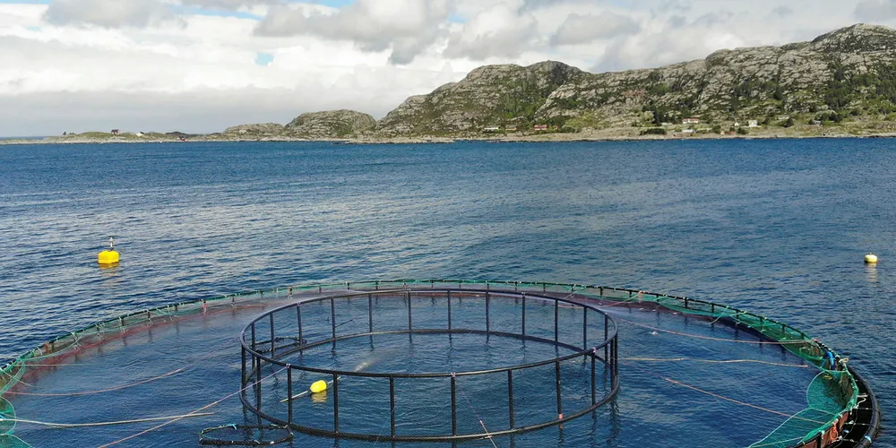 Laksenæringa er ved siden av olje og gass Norges mest lønnsomme.