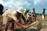 Slow going: at the Oyong project in East Java