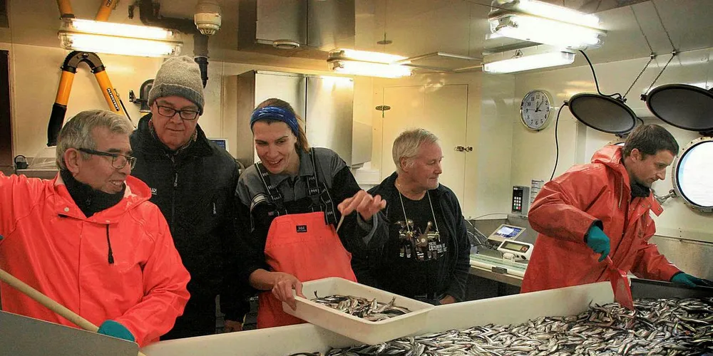 KVINNEMANGEL: Det er få kvinner blant de ansatte på Havforskningsinstituttet. Her fra et tokt der forskere og teknikere sorterer lodde, der bare en av de fem er en kvinne. Arkivfoto: Georg Skaret/Havforskningsinstituttet