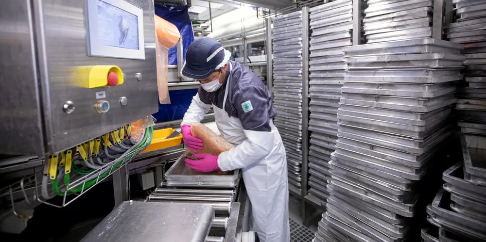 Russia’s overall production of pollock surimi will account for around 50,000 -60,000 metric tons by the end of the year, according to estimates.