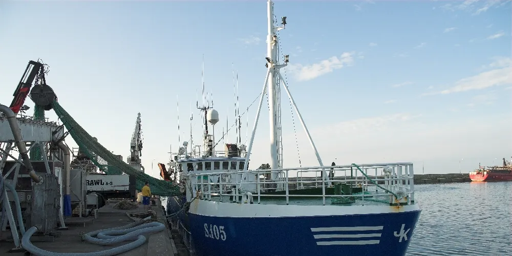 Danish fishmeal producer reports 'best year in history'