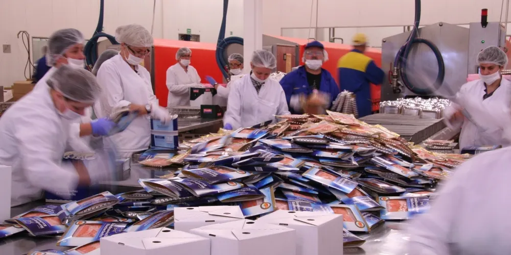 Marine Harvest Consumer Products: Europe's new seafood powerhouse