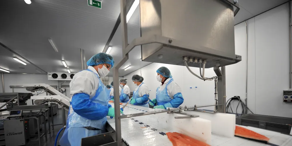 Consumers see salmon as a unique seafood category