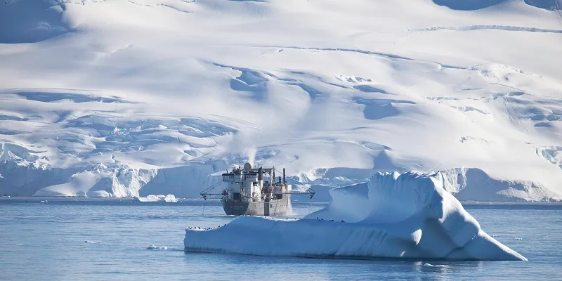 Krill-meal producer sees growth in aquaculture segment