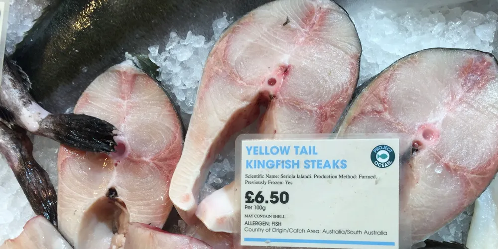 Selfridges fish counter