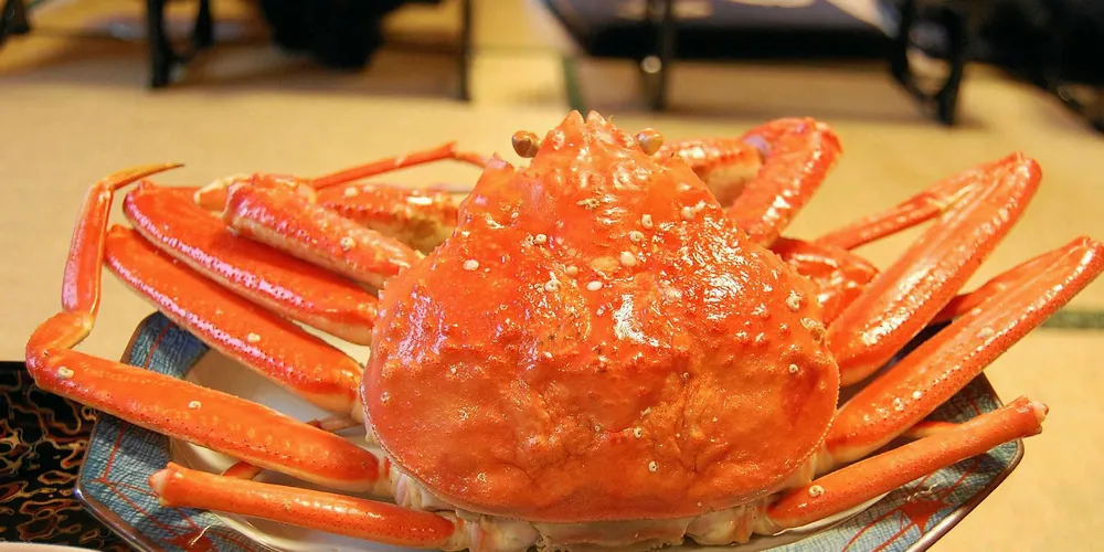 Red King Crab