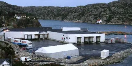 Brandasund Fiskeforedling får opphevet eksportforbudet på Russland. (Foto: Brit Rønningen)