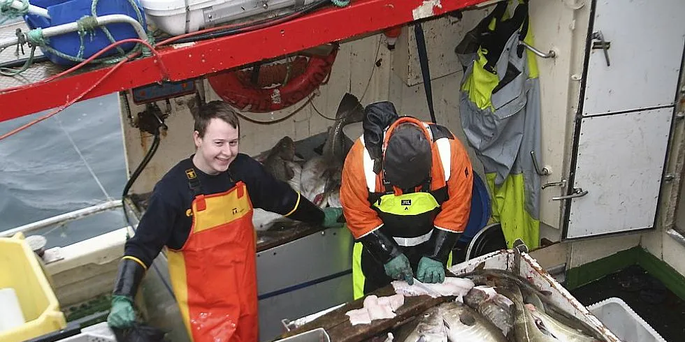 Skreifisket i Lofoten er på topp. Fiskerne må flere år tilbake for å finne tilsvarende fangster. Den ene fiskebåten etter den andre legger til kai, - godt lastet. Foto: Willy Hauge