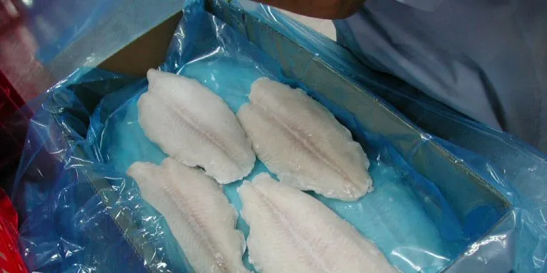 Groundfish Forum 2007: Global whitefish supply to fall 1.3%