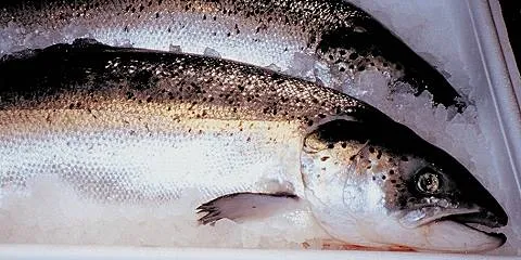 Loch Duart founder's departure hints at shifts in the group