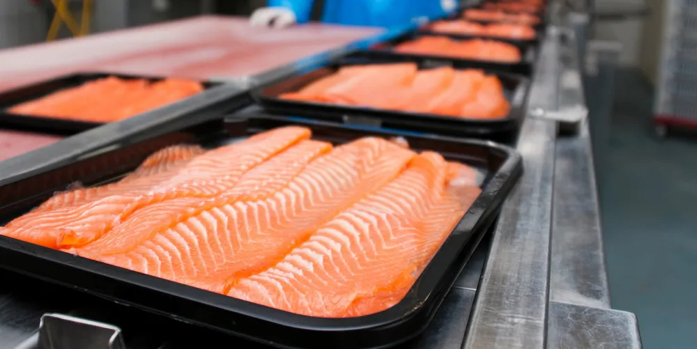 Salmon imports into Russia have dried up since the start of the conflict in Ukraine.