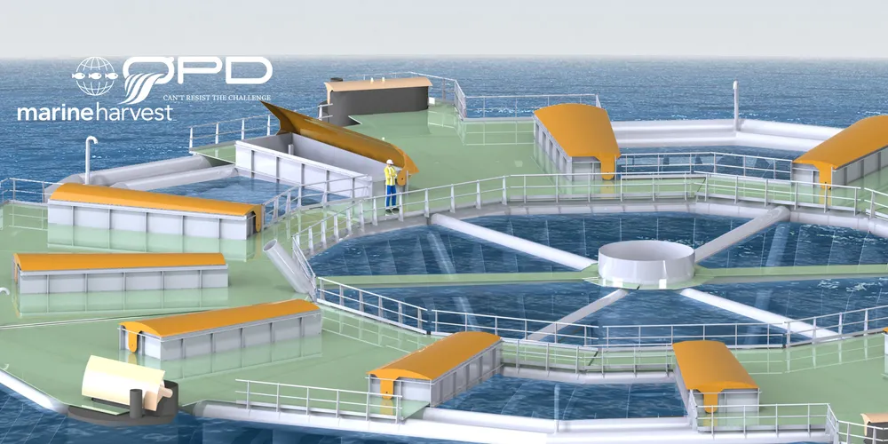 Marine Harvest applies for 28 development licenses
