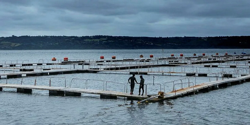 Salmon farm, Chile. Estado Salmonero.