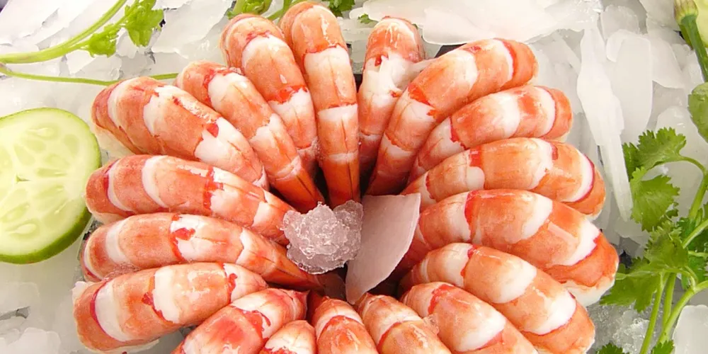 Indonesian shrimp processing giant sees short raw material supply