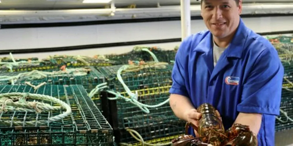 Clearwater lobster traps did not follow DFO regulations, the government agency said.