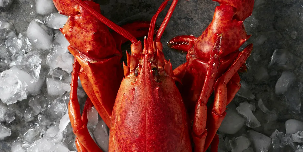 Alibaba wants to be ‘gateway to China’ for Canadian seafood