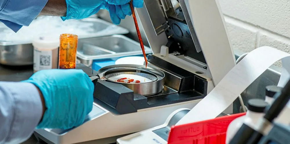 Her undersøkes krill i laboratoriet i Houston.