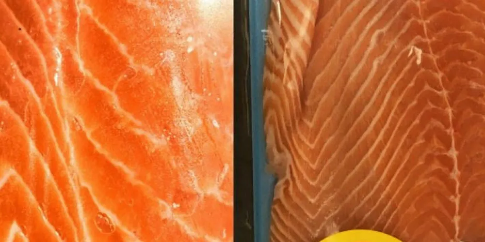 . Loblaw salmon fillet with louse.
