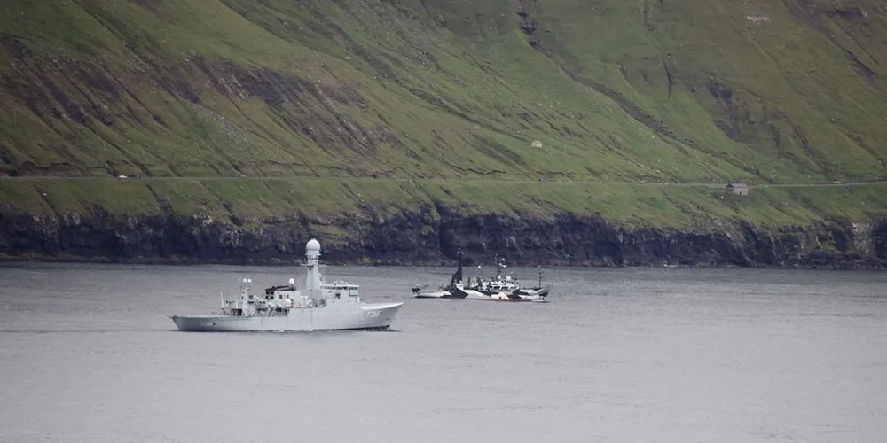 Sea Shepherd aktivister risikerer å få to år bak murene. Foto: Sìmon à Høvdanum/nordportal.net