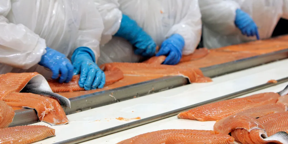 US salmon market braces for impact from Chile's shortfall