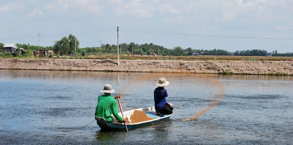 Vietnam is the largest producer of pangasius, accounting for easily more than half of global production.