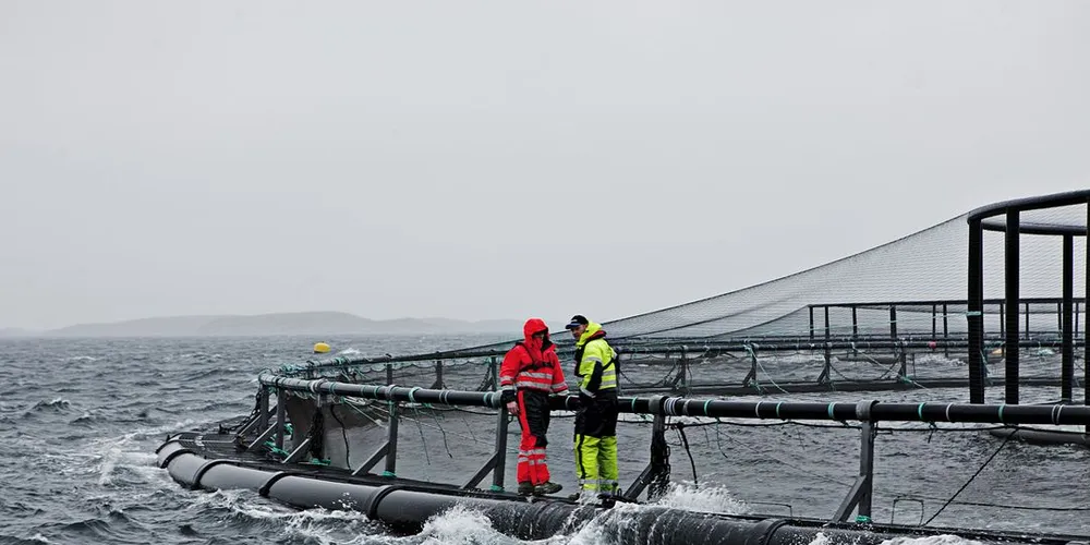 Fristen for å takke ja til fem prosent oppdrettsvekst er satt til 1. september i år. (Illustrasjonsfoto: Aqualine)