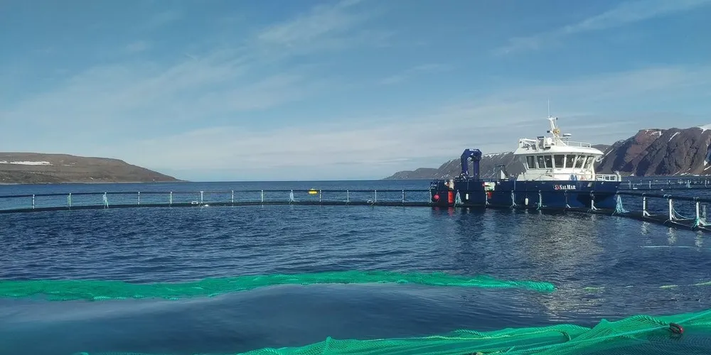Kjøllefjord Fiskarlag frykter for kongekrabben og kysttorsken dersom Salmar Nord får grønt lys til å flytte to oppdrettsanlegg i Laksefjorden. Her fra SalMars anlegg i Syltefjorden i Båtsfjord. Ill.foto: Ronald Wærnes