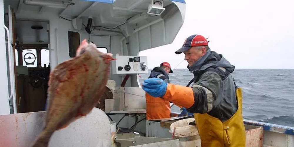 Fisketakten etter blåkveite er lav for tida. Arkivfoto: Bjørn Tore Forberg