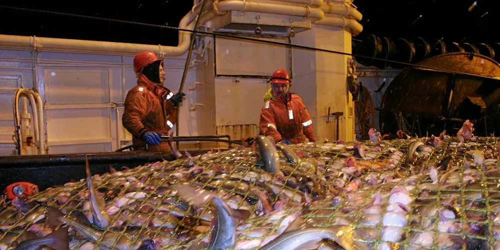 MILLIONFANGST: Trålflåten for torsk og sei dro inn fisk for i gjennomsnitt 140 millioner kroner i fjor, noe som er dobling av trålerens gjennomsnittlige fangstverdi siden 2015.Illustrasjonsfoto: Bjørn Tore Forberg