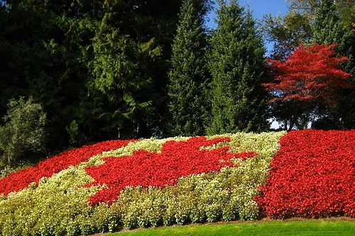 Flat: Canadian player's bottom line holds for quarter.