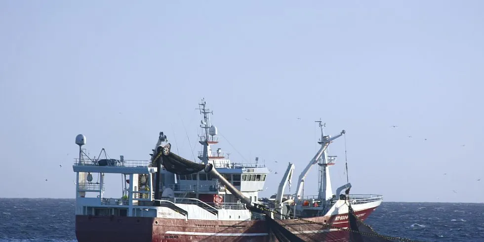 Til tross for lave loddekvoter, kan muligens prisene til neste år gjøre det attraktivt for båtene å fiske lodde. Her "Trønderbas", her på loddefiske vinteren 2011. Arkivfoto: Rune Kvamme.