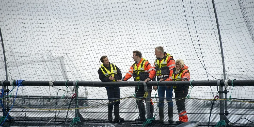 Salmar Nord. Driftsleder Geir Olsen (fra venstre), daglig leder Ørjan Jensen, driftssjef Alf Arild Jakobsen og regional samfunnskontakt Irene Lange Nordahl i Salmar Nord på oppdrettsanlegg ved Skårliodden på nordspissen av Senja.