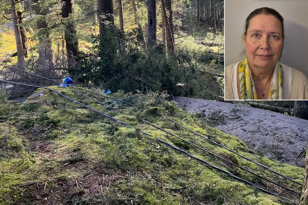 Stormen skapte store utfordringer i store deler av landet natt til lørdag. Innfelt: Birgitte M. W. Kjelsberg, seniorrådgiver i Kraftberedskapseksjonen i tilsyn- og beredskapsavdelingen i NVE.