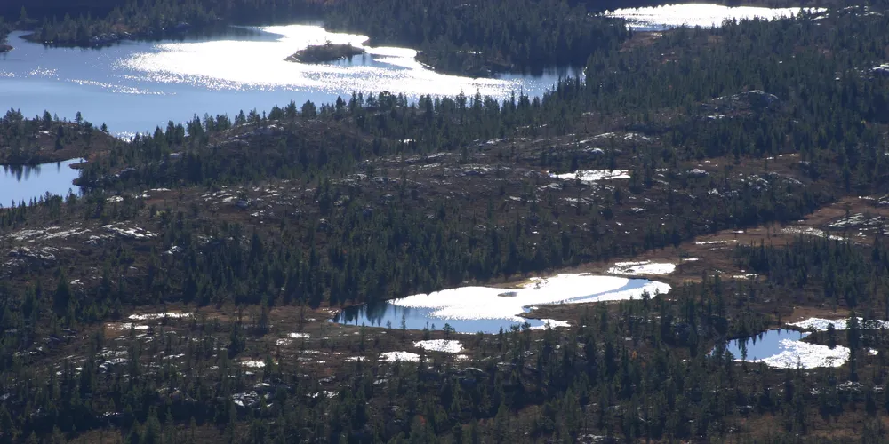 MARKED: Blodrød ukeslutt