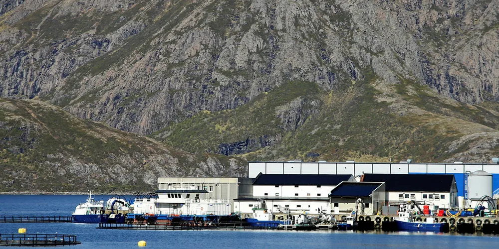 Egil Kristoffersen: Windfall masks sharp fall in operating profit.
