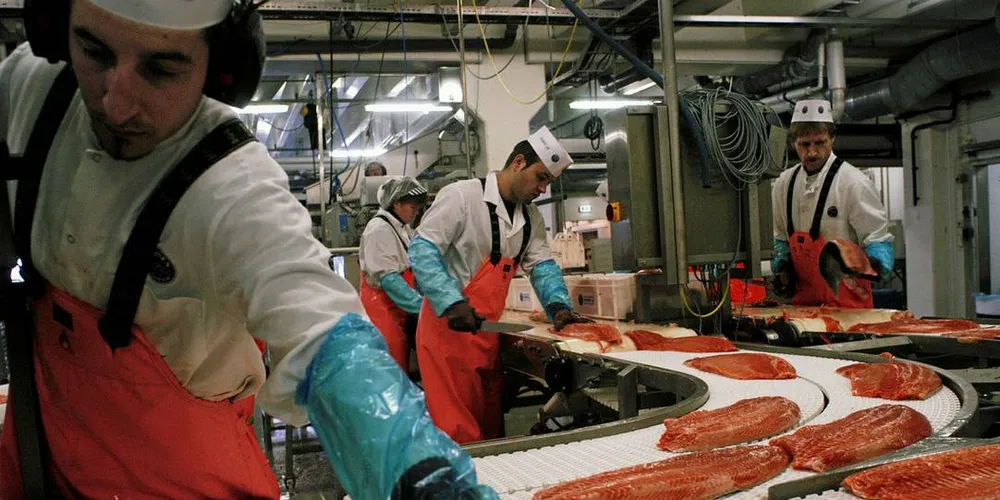Norge nå neppe målet om å produsere fem millioner tonn laks i 2050, mener ledere i havbruksnæringen i en undersøkelse gjort av PwC.Arkivfoto