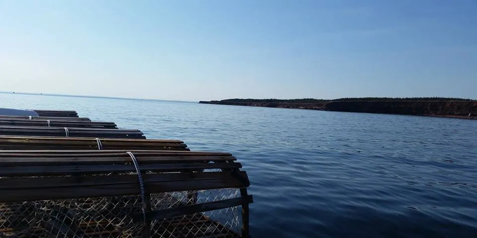 PEI lobster season opens with predictions of poor quality