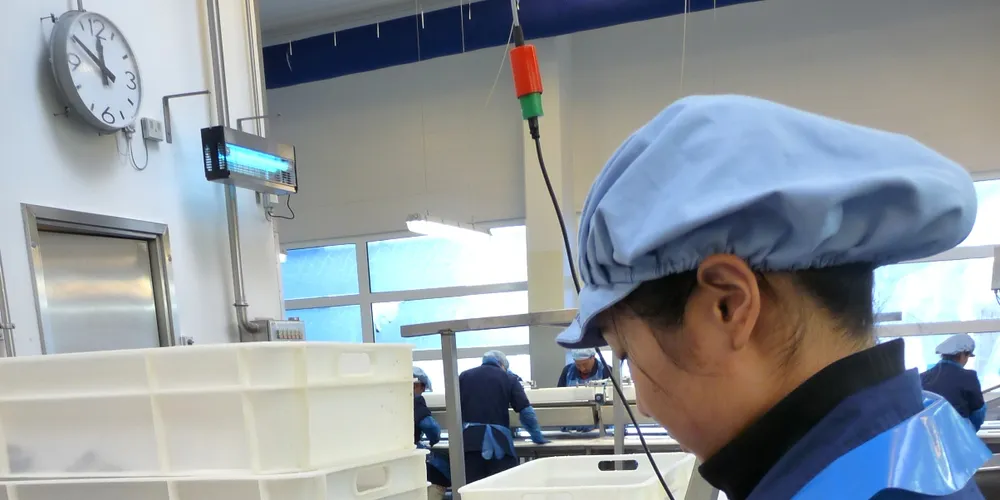 Royal Greenland to focus on core species, Chinese market