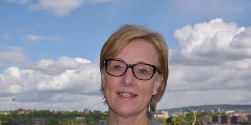 Sigrid Hjørnegård er direktør fornybar energi, klima og miljøi bransjeorganisasjonen Energi Norge. (Foto: Camilla M. Granheim)