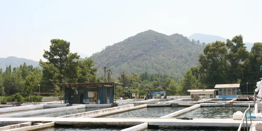 Turkish trout farmer eyes new species, markets