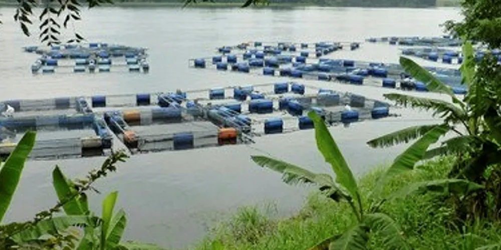 Skretting Nigeria is moving forward with its feed plant plans.
