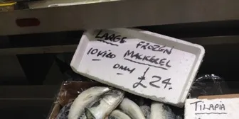 Equipment trader tries hand at seafood trading