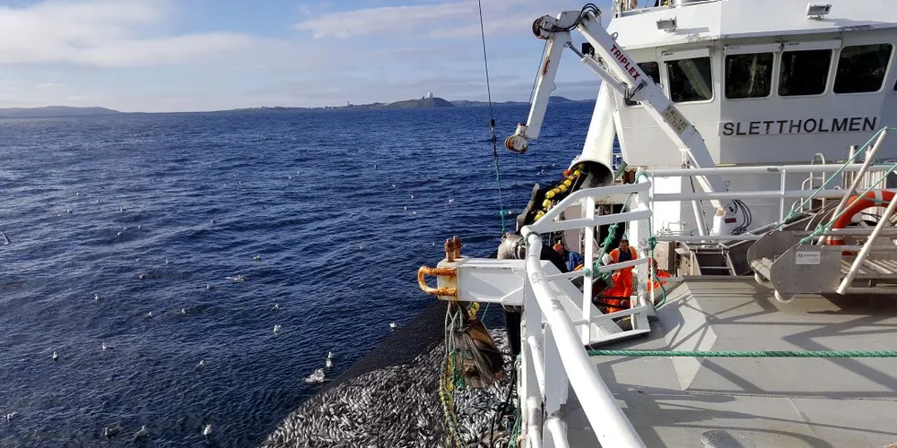 «Slettholmen» på seinotfiske mellom Vardø og Kiberg. Her et kast med 95 tonn sei. Foto: «Slettholmen»