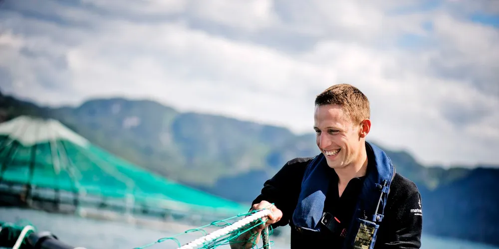 Photo: Marine Harvest
