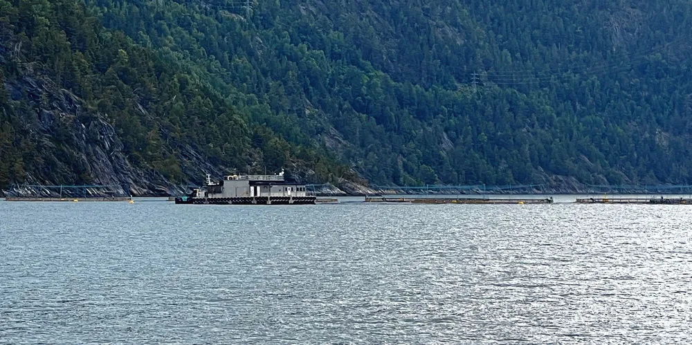 Eksplosjonen skjedde på en fôrflåte tilhørende Hofseth Aqua på lokaliteten Ovråneset Øst.