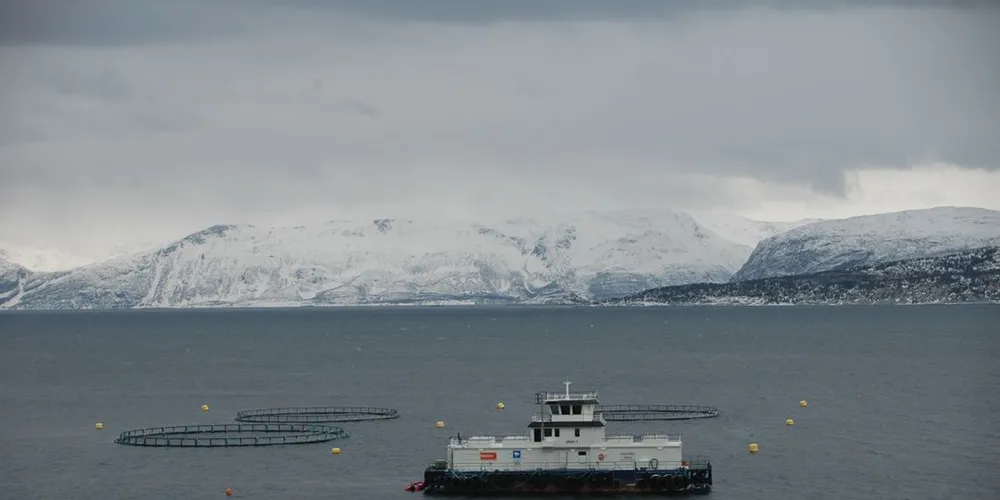 MTB-VEKST: Lakseoppdrett i Nord-Troms. FHL vil at framtidig laksevekst skal skje på eksisterende konsesjoner, såkalt MTB-vekst. ILL