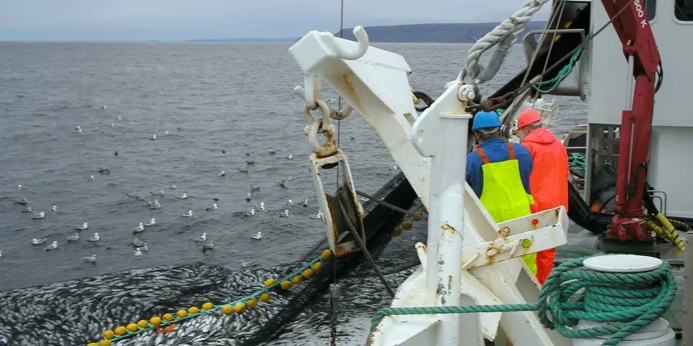 Det blåser opp til ny debatt om seinotfisket og reguleringene. Fiskere, forskere og myndigheter er fortsatt ikke enige om hvor kursen bør gå. Her et arkivfoto av snurperen "Skrovaværing" på seifiske utenfor Båtsfjord.
