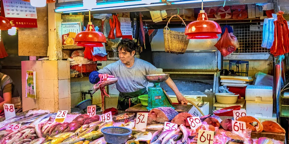 Australian producers have been ramping up their seafood exports to mainland China.