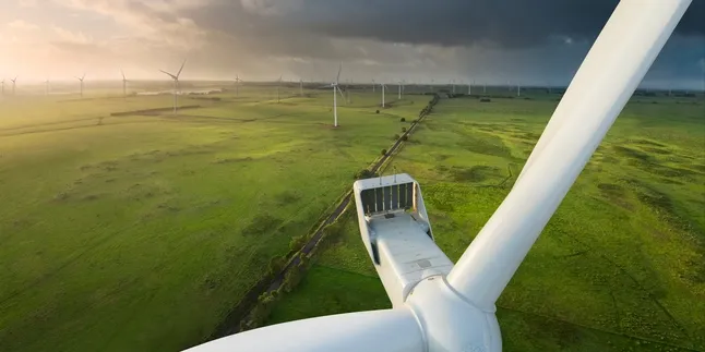 EDF RE eyes Vestas for Minnesota project turbine supply