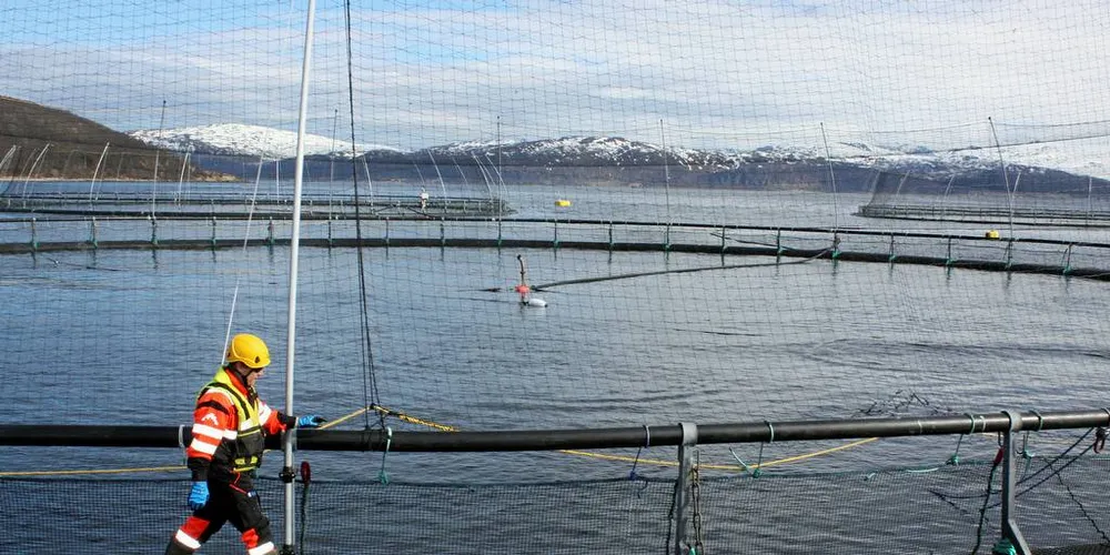 RINGVIRKNINGER: Havbruksnæringen kan skape betydelig større verdier for kommunene hvis de kan bidra til en ny forvaltningsmodell som er mindre fragmentert og mer kompetent, skriver dagens gjest.Arkivfoto: Jørn Mikael Hagen